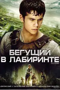 Бегущий в лабиринте